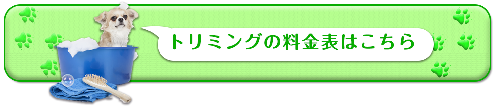 トリミングの料金表はこちら