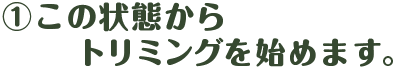 ① この状態からトリミングを始めます。