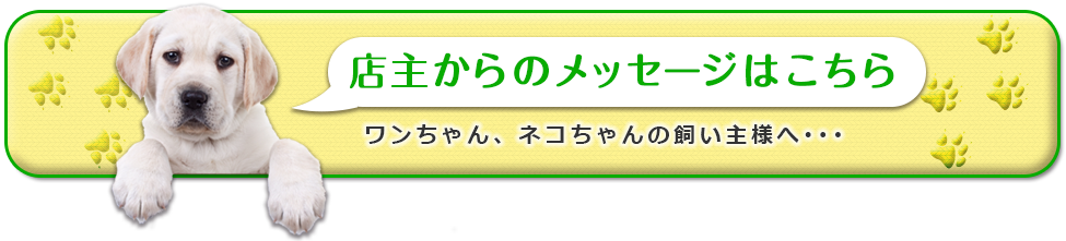 店主からのメッセージはこちら